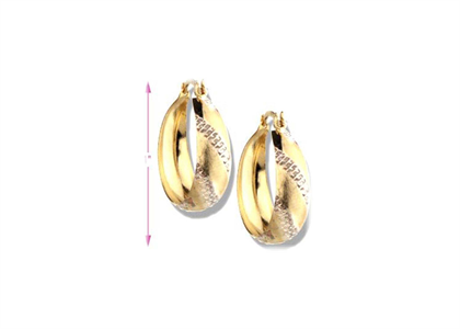 Dual Tone Plated | Fashion Earrings